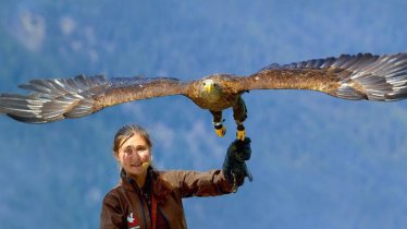 Umhausen Birds of Prey Park, © Greifvogelpark Umhausen