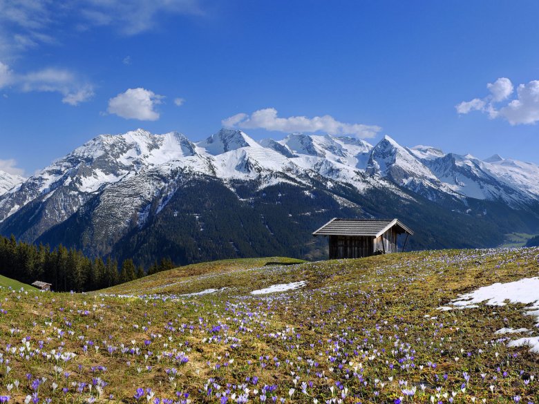 Frühling in Tirol