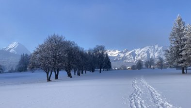 Lenerwiese Winter