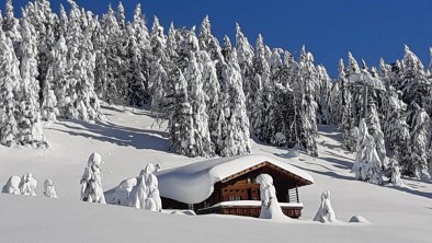 Neuschnee mehr als 2,50 m Dez. 20