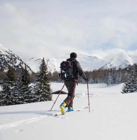 Ski tour to the Sattelbergalm hut in the Wipptal Valley, © Tirol Werbung/Bert Heinzlmeier