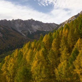 Autumn in Tirol: Eulenwiesen meadows, © Tirol Werbung/Mario Webhofer
