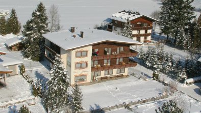 Seerose Panorama im Winter