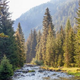 Nature Park Ötztal, © Tirol Werbung/Robert Pupeter