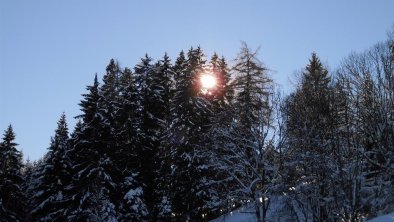 Klare Winterluft