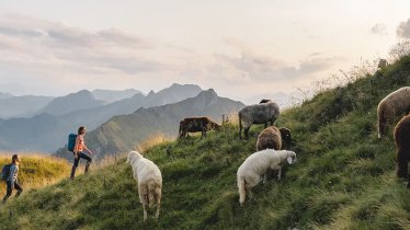 In 2024, Waidring in Tirol will host the 7th IVV Hiking Europiad, © Kitzbüheler Alpen - Pillerseetal
