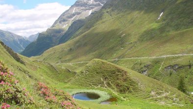 Das Pfauenauge bei den Jagdhausalmen