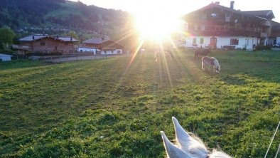 Fichterhof_Kitzbühel_Sommer3