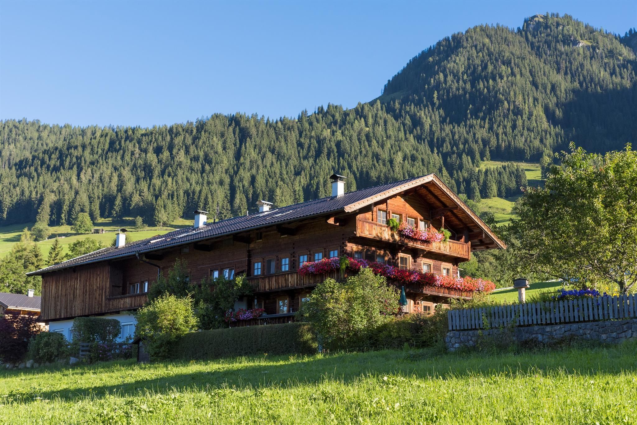 A traditional wooden house surrounded by green meadows and mountains. In the foreground, colorful flowers are blooming and the sun is shining on the landscape.