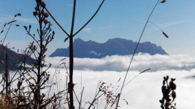 Blick vom Alpkopf zur Zugspitze 300912