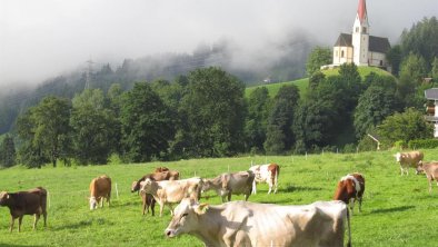 Aussicht St. Pankrazkirche, © Hof Unterhuben