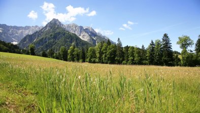 Berge Sommer, © Goferlhof - Köferfotographie