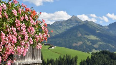 Blumen, © Alpbachtal Tourismus