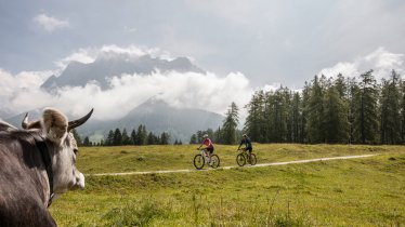 Mountain bike ride to the Tuftlalm hut, © Zugspitz Arena Bayern-Tirol/Joe Hoelzl