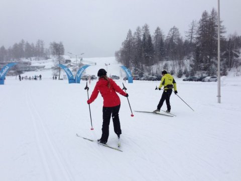 Cross country ski technique