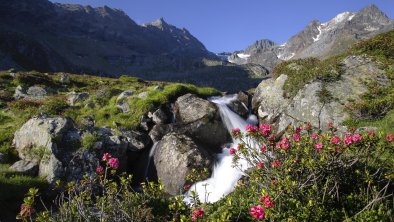 Sommer im Ötztal