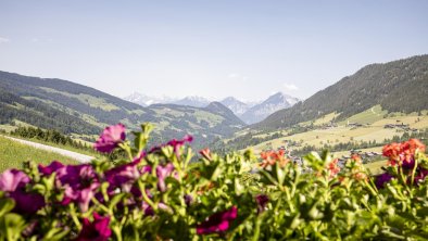 Ausblick aufs Tal vom Bergwald Alpbach, © Katharina Moser