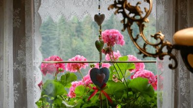Blumenfenster