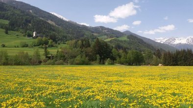 Urlaub im Frühling in Matrei, © Gästeheim Pötscher