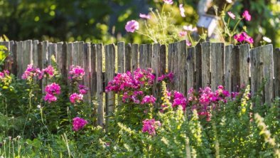 blumen-holzzaun_wilder-kaiser_foto-peter-von-felbe