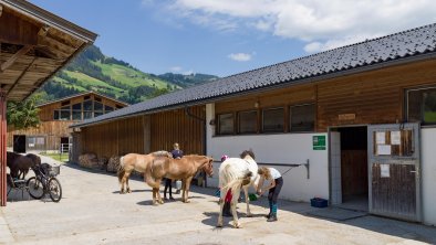 Haflingerhof_Dorfstrasse_54_Westendorf_07_2022_Pfe