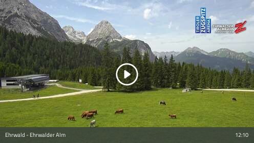 Webcam Ehrwalder Alm