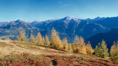 goldener Herbst