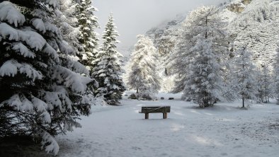 Haus-Waldbauer_im Winter (3)
