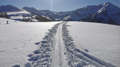 Skitour zur Joelspitze