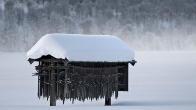 winterfeeling_house_alpenrose