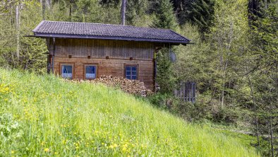 Trummlerhof_Jagdhütte_Frühling_LO_019