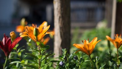 Milcherhof_Garten_5