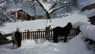 https://images.seekda.com/AT_UAB7-06-13-02/winter2012.JPG?orig