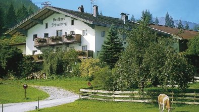 Alpengasthof Schneeberg Thiersee - Hausansicht