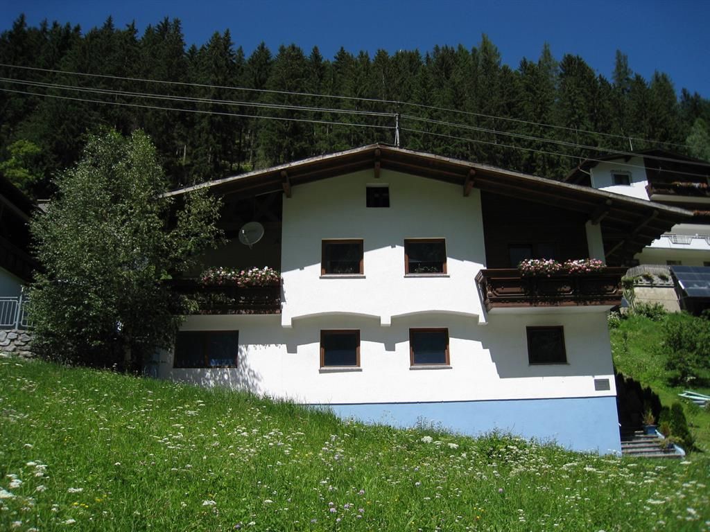 A traditional house in the Alps with a green lawn and blooming plants. In the background, tall trees and a clear sky can be seen.