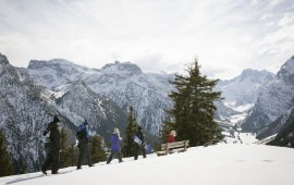 Pertisau.
, © Tirol Werbung, Jens Schwarz