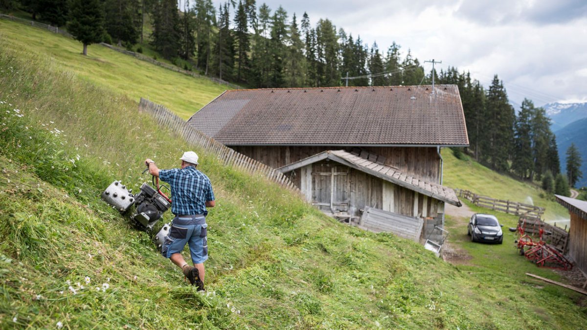 The Stableshof is surrounded by vast pastures and meadows.
, © Tirol Werbung / Sebastian Höhn