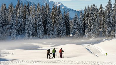 Schneeschuhwandern und Langlaufen in Mösern, © Region Seefeld - J.Geyer