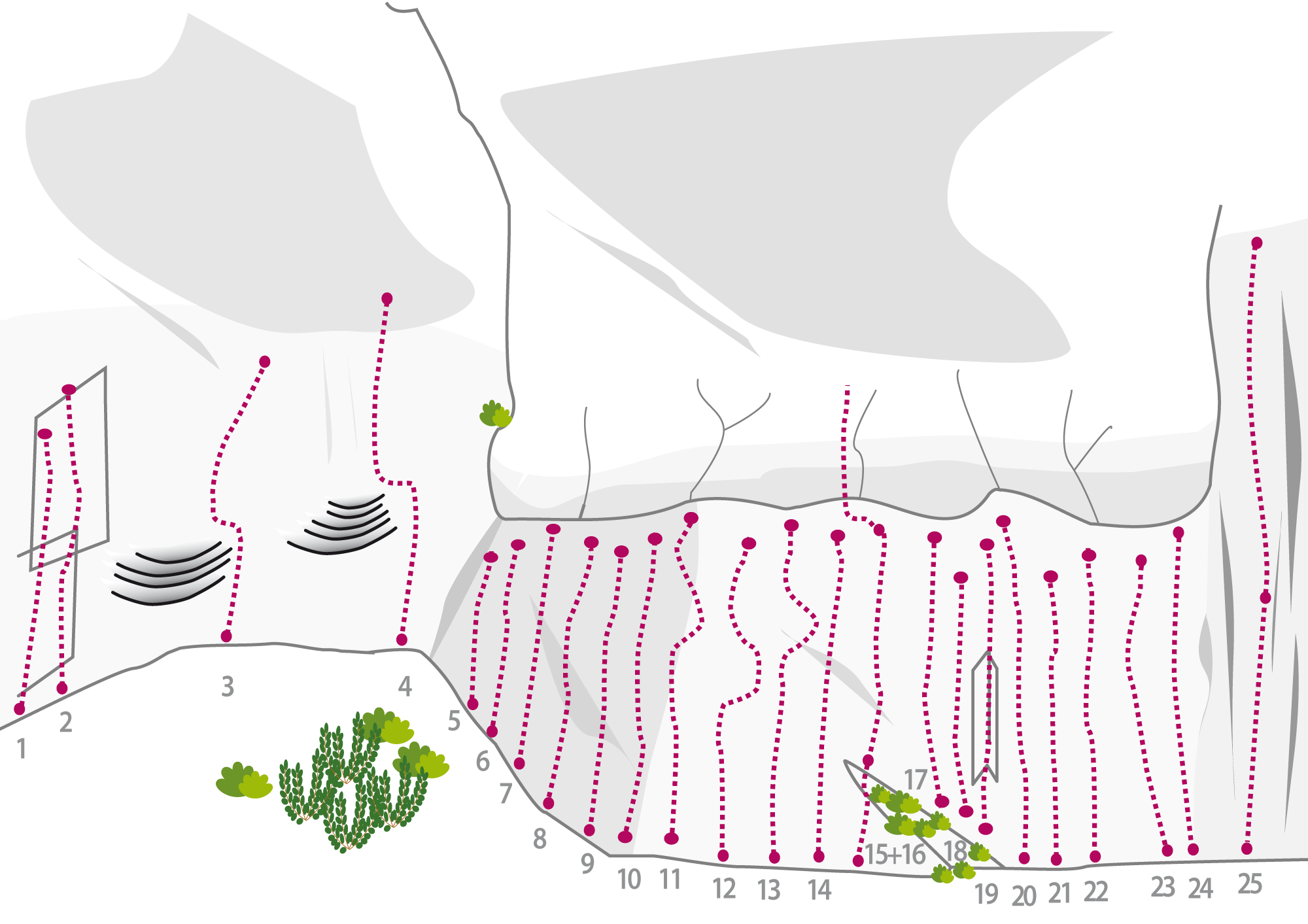 Topography