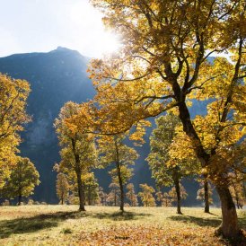 Autumn in Tirol: Großer Ahornboden, © Tirol Werbung/Mario Webhofer