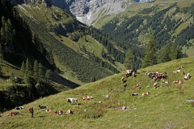 The Binsalm hut., © Tirol Werbung, Frank Bauer