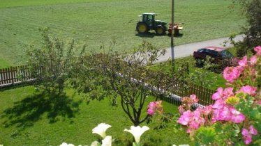 Blick auf den Garten 2