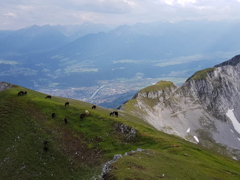 Ausblick von der Mandlspitze, Julia Müller