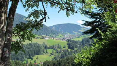 Ausblicke Thierbach Wildschönau (11)