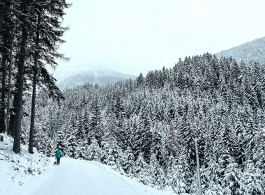 Sledding Runs in Tirol