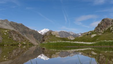 Umgebung Nürnberger Hütte "Paradies"