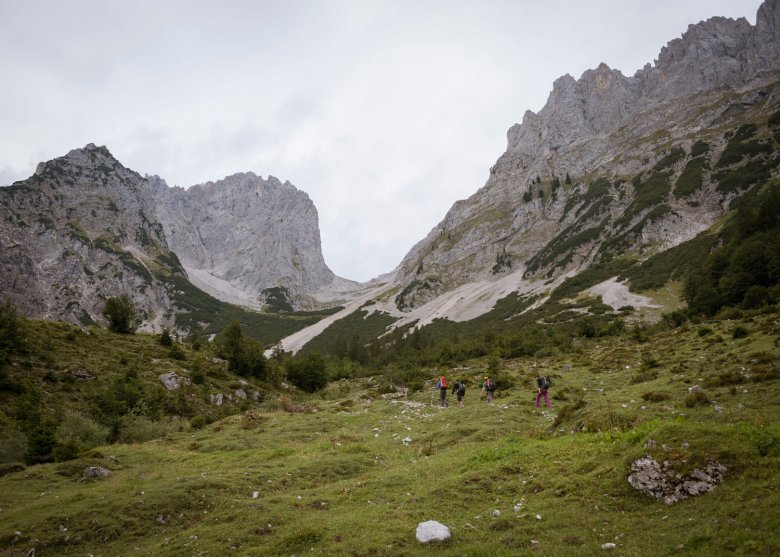 Walking along the foot of the Wilder Kaiser Mountains., © Tirol Werbung, Jens Schwarz