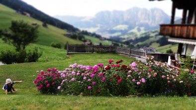 Sommer Haus Weberkreuz, © Juliane Binder