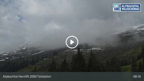 Webcam Hornlift 2000 Talstation