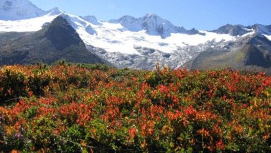 Herbst in den Zillertaler Alpen